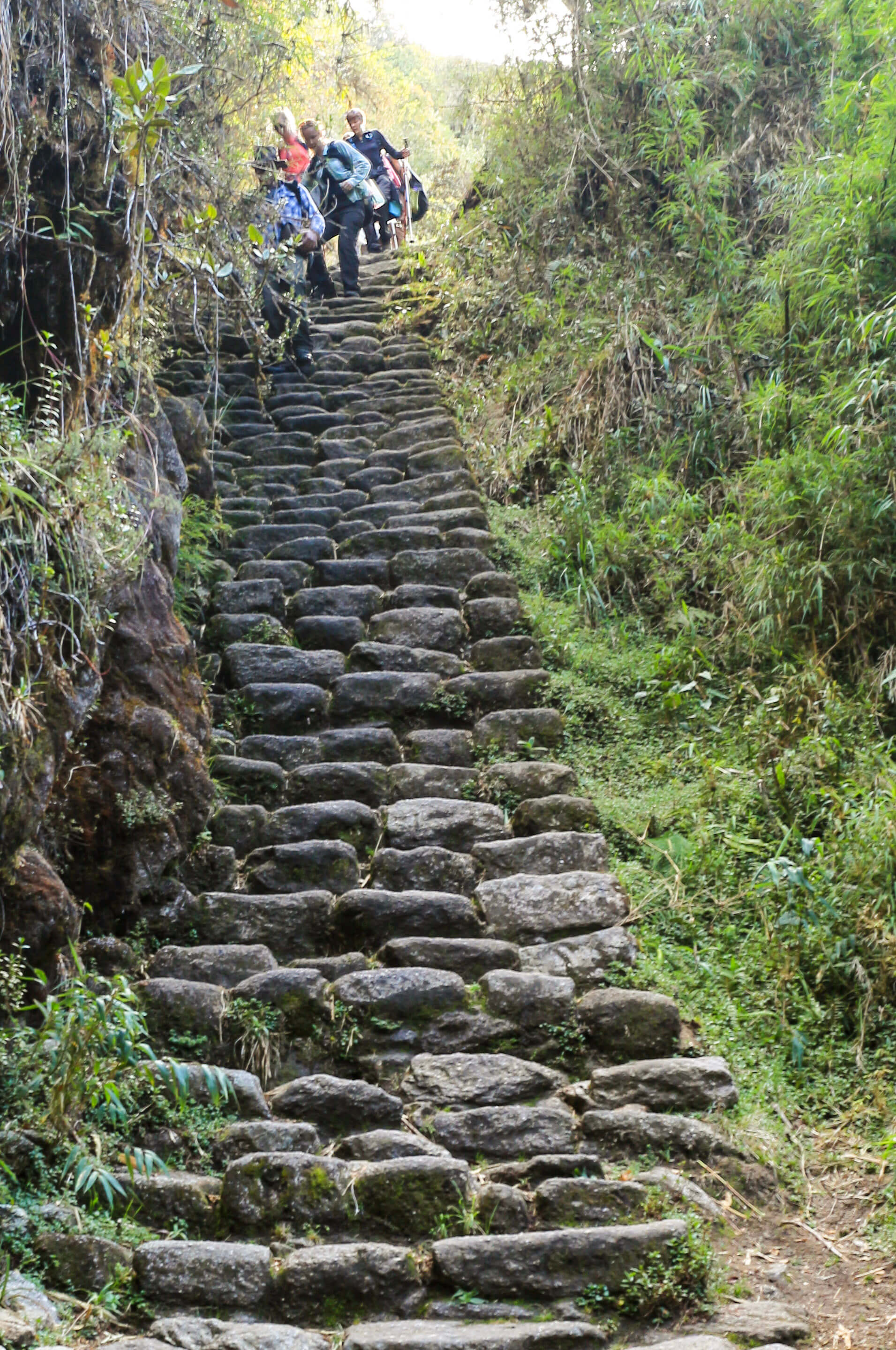 Gringo Killers Steps on the Inca Trail known as the gringo killers