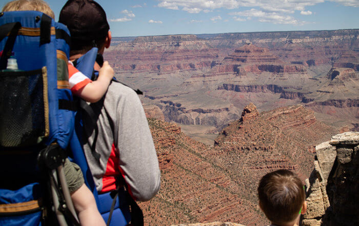 Dad overlooking Grand Canyon with Kids